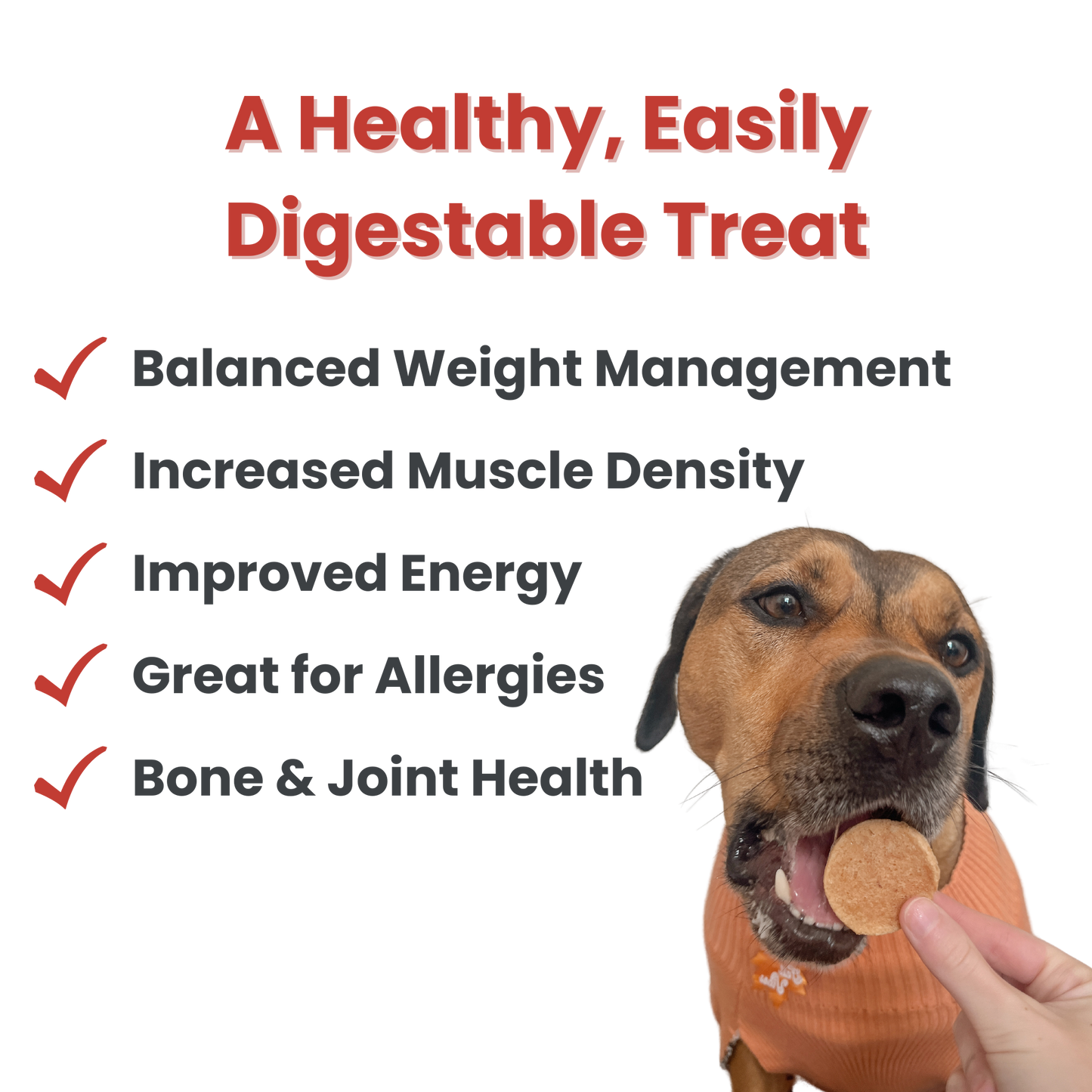 Beef Chips Healthy Dog Snack Pack