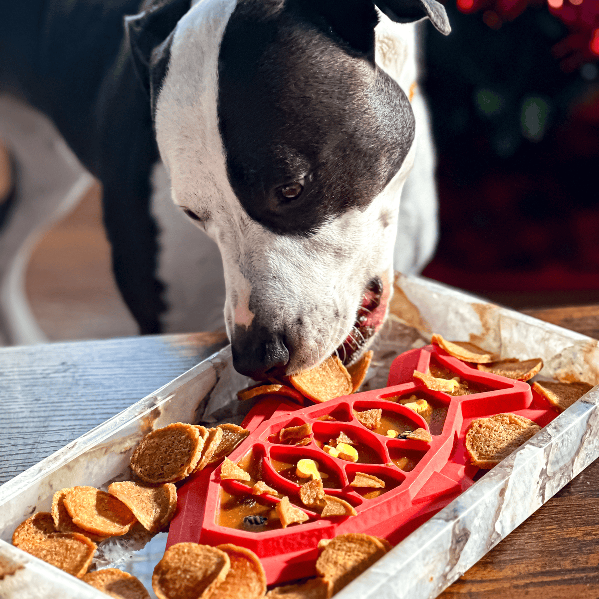 Fish Chips Healthy Dog Snack Pack