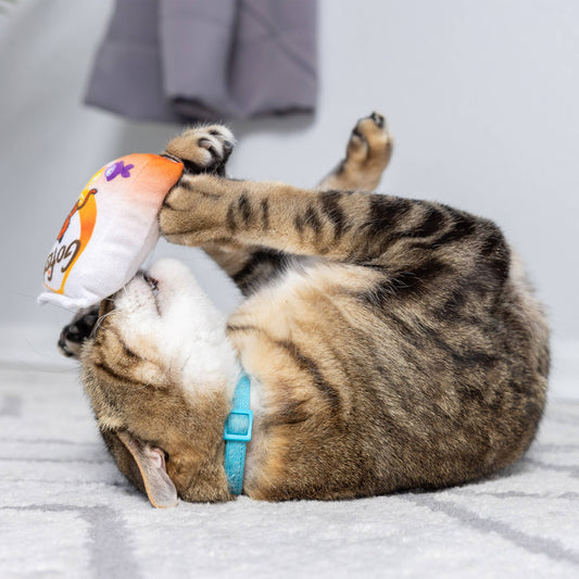 Go Fish Phishy Cat Toy: One Size