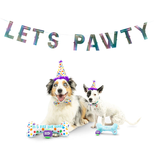 Let's Pawty Iridescent Celebration Banner: One Size