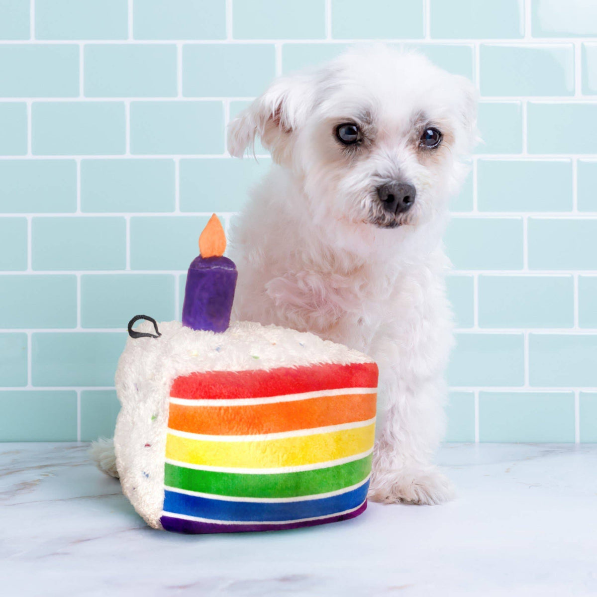 Funfetti Cake Dog Toy