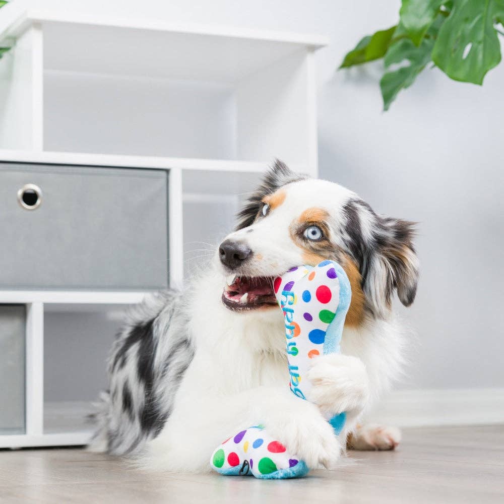 It's My Barkday Bone Dog Toy (Double Sided)