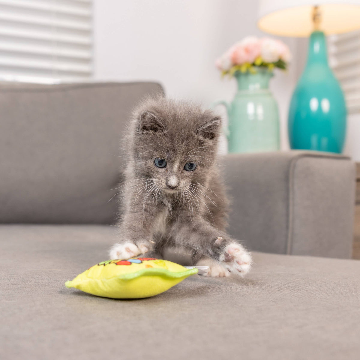 Sour Scratch Kats Cat Toy