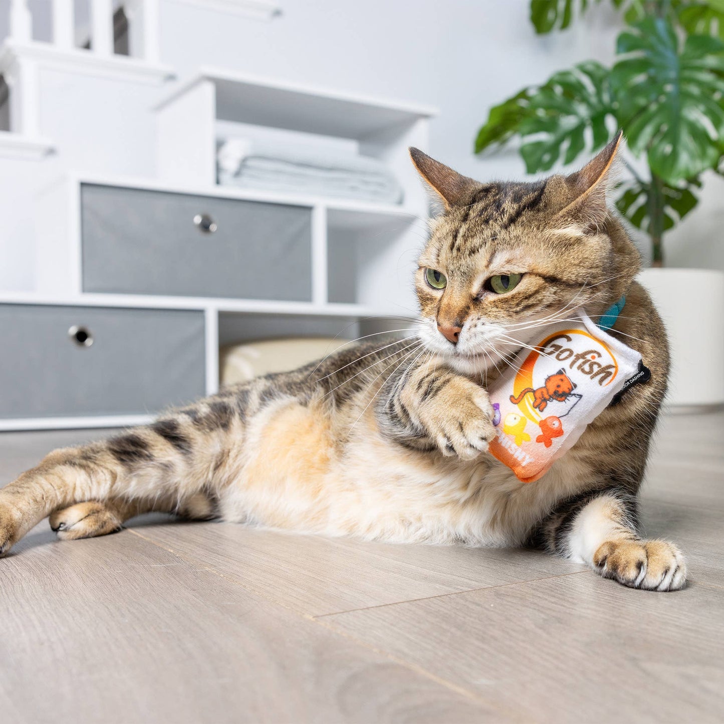 Go Fish Phishy Cat Toy: One Size
