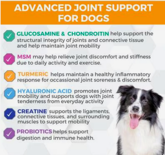 Progility Minis Hip & Joint Soft Chew Supplements