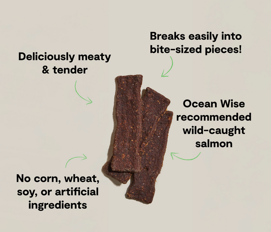 Grain-Free Wild-Caught Salmon Jerky Strips