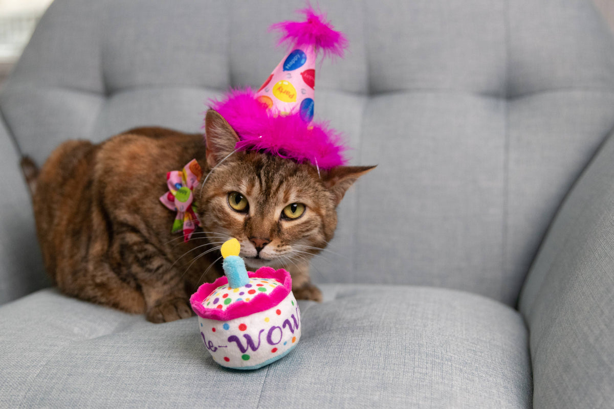 Mewow Cake Cat Toy