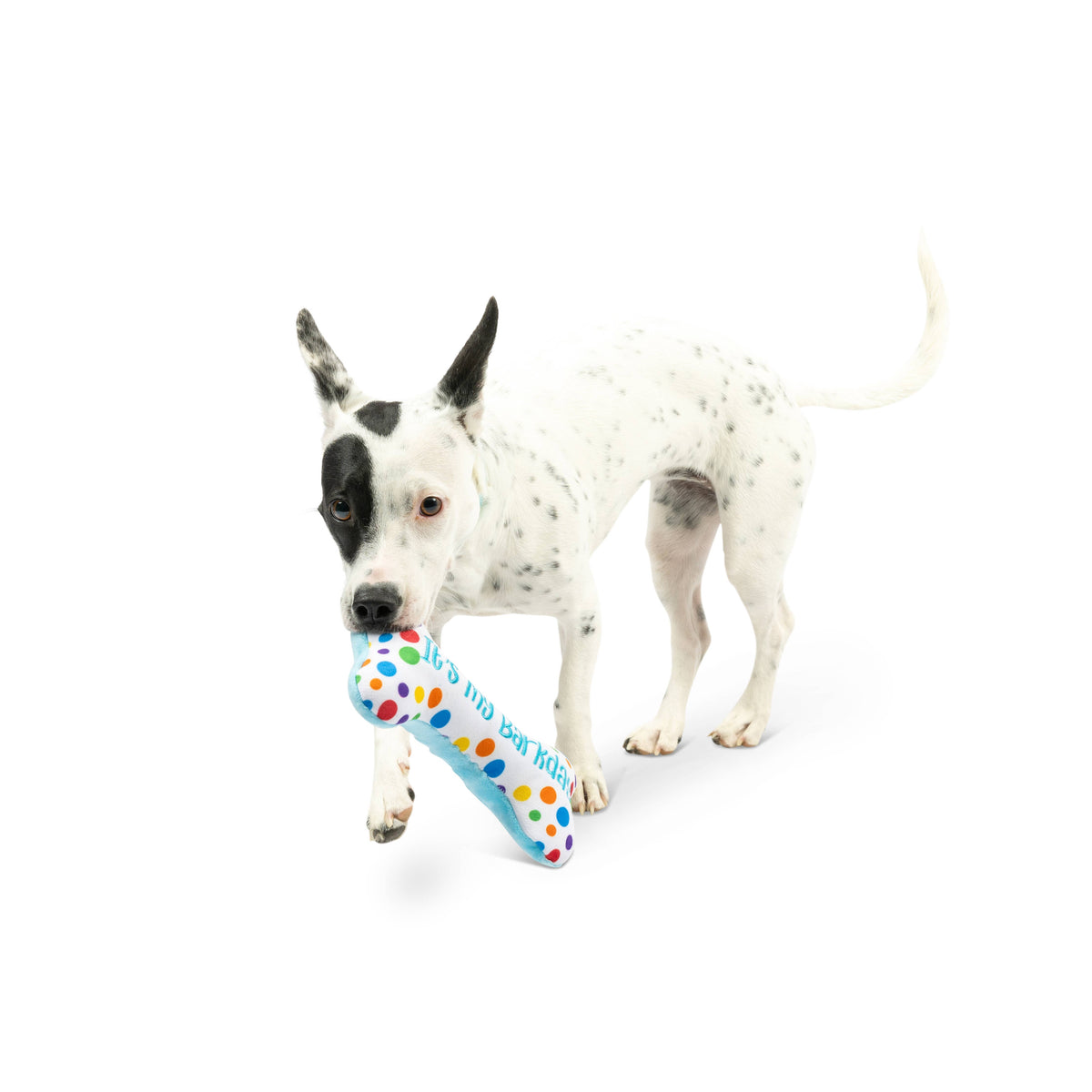 It's My Barkday Bone Dog Toy (Double Sided)