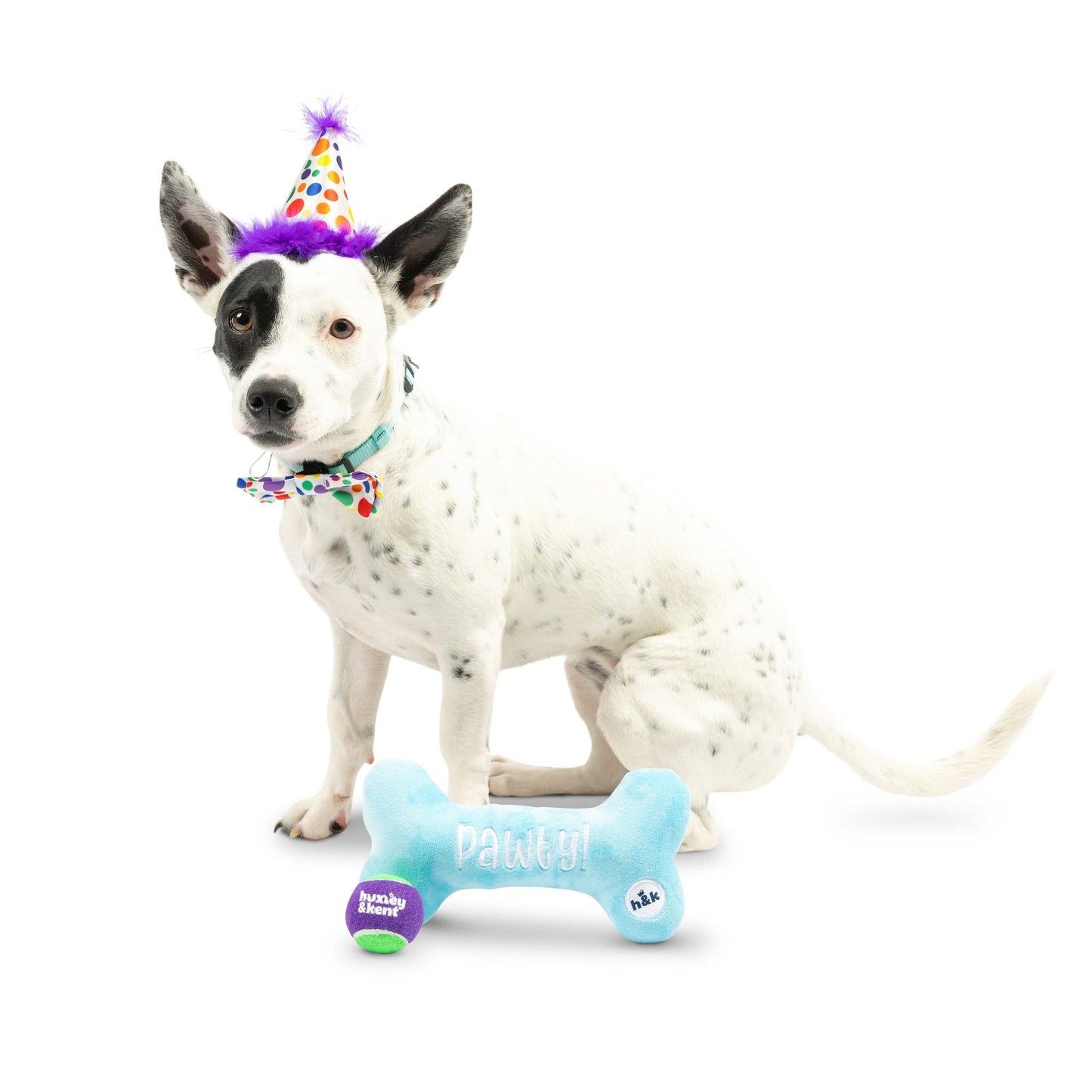 Happy Barkday Celebration Box