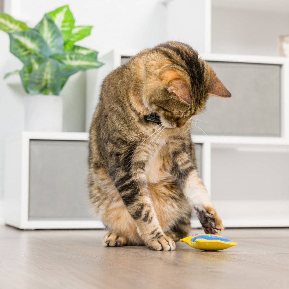 Sweetest Fish Cat Toy: One Size