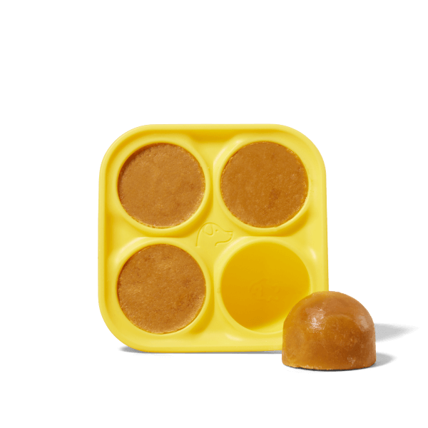 Pupsicle Treat Tray