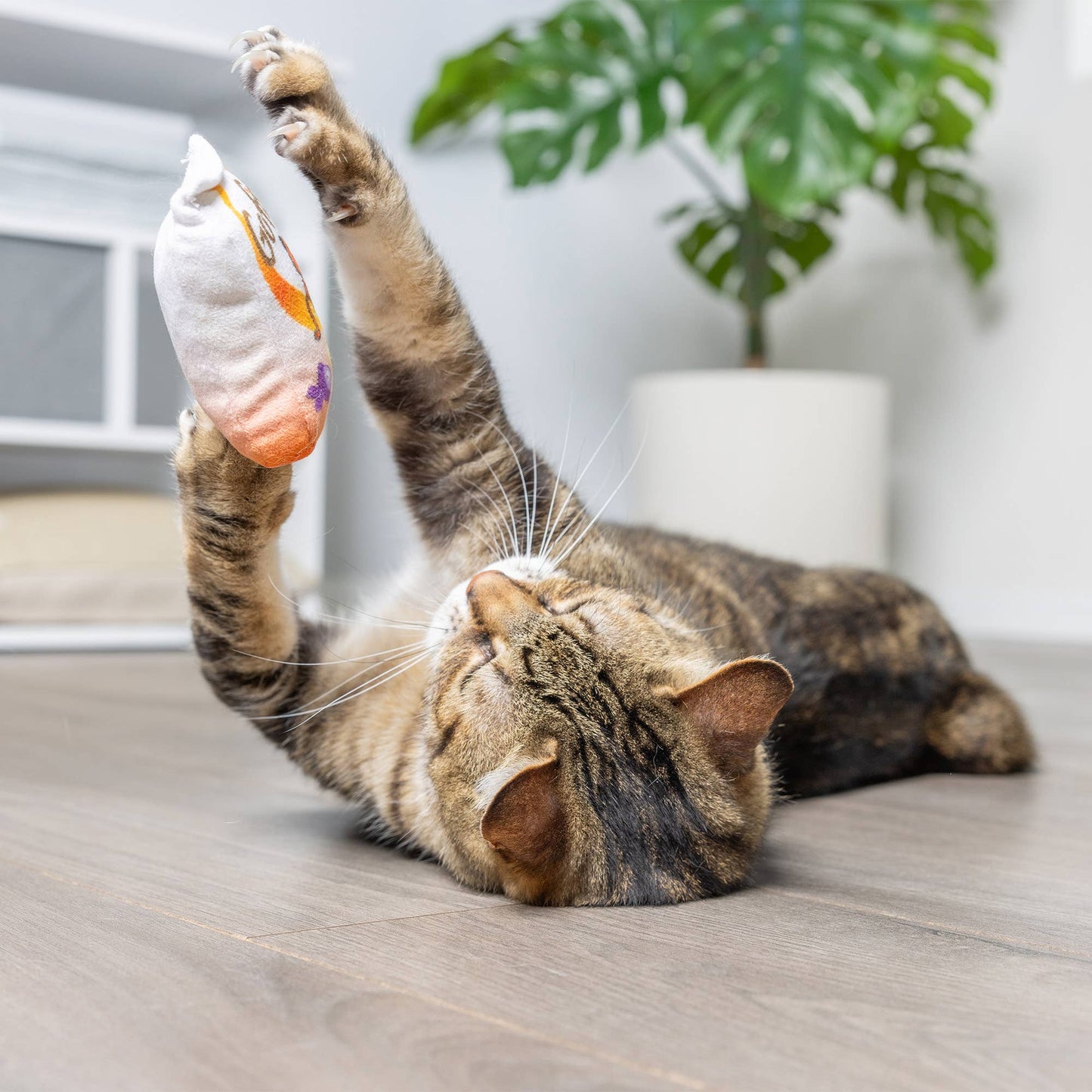 Go Fish Phishy Cat Toy: One Size
