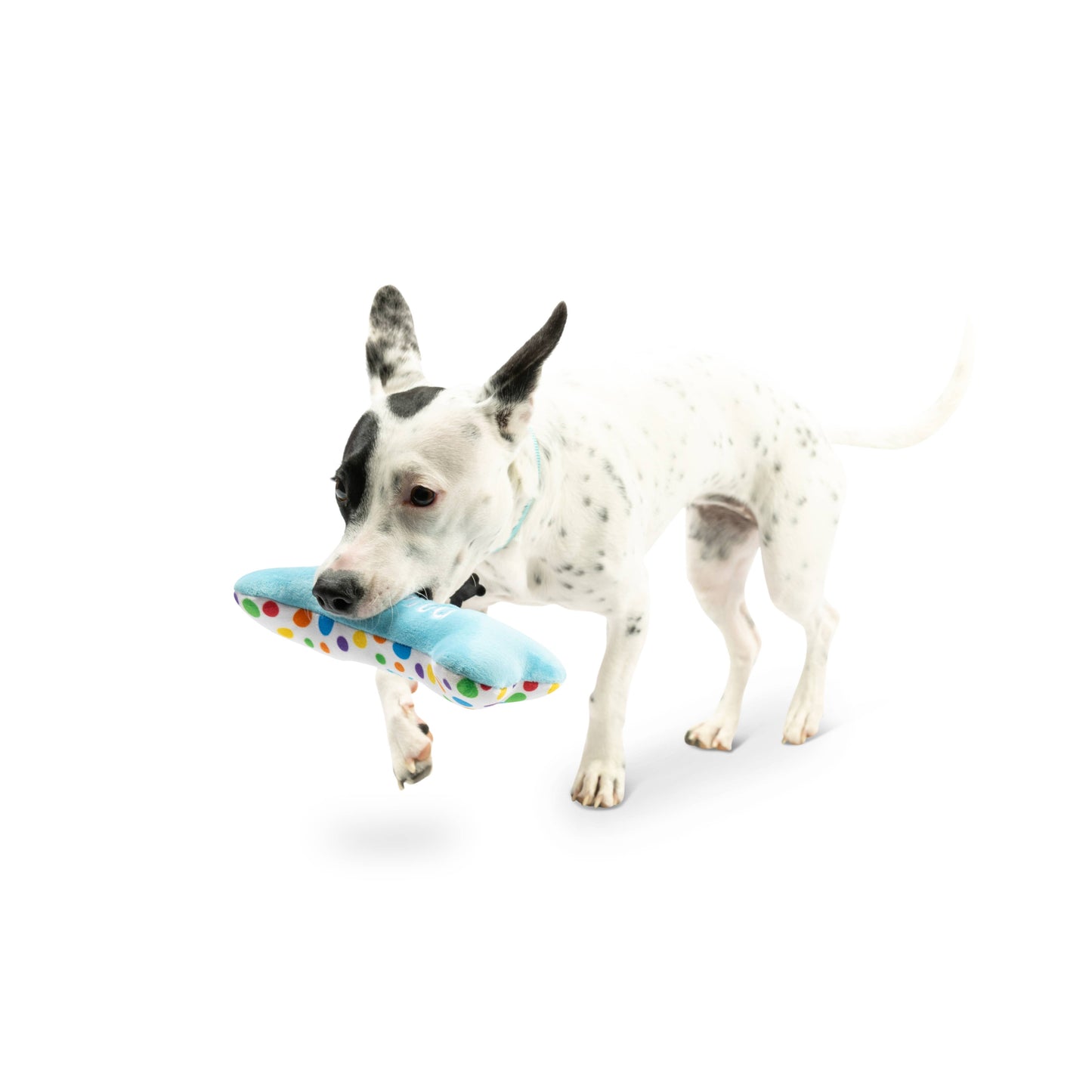 It's My Barkday Bone Dog Toy (Double Sided)
