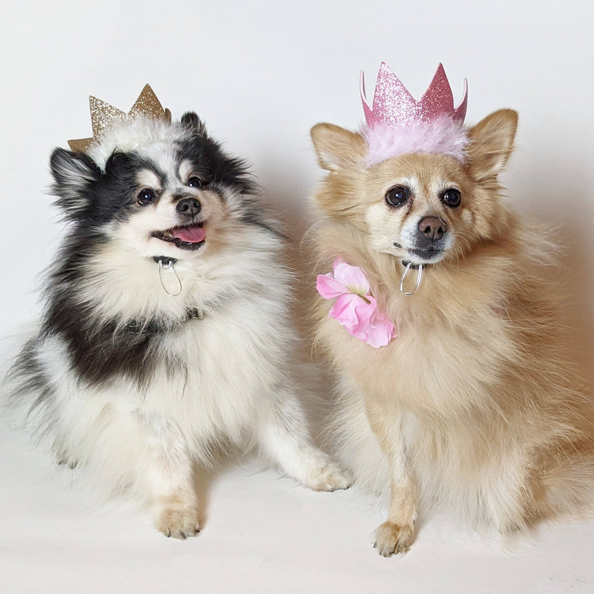 Party Crown Gold with SnugFit®: Small