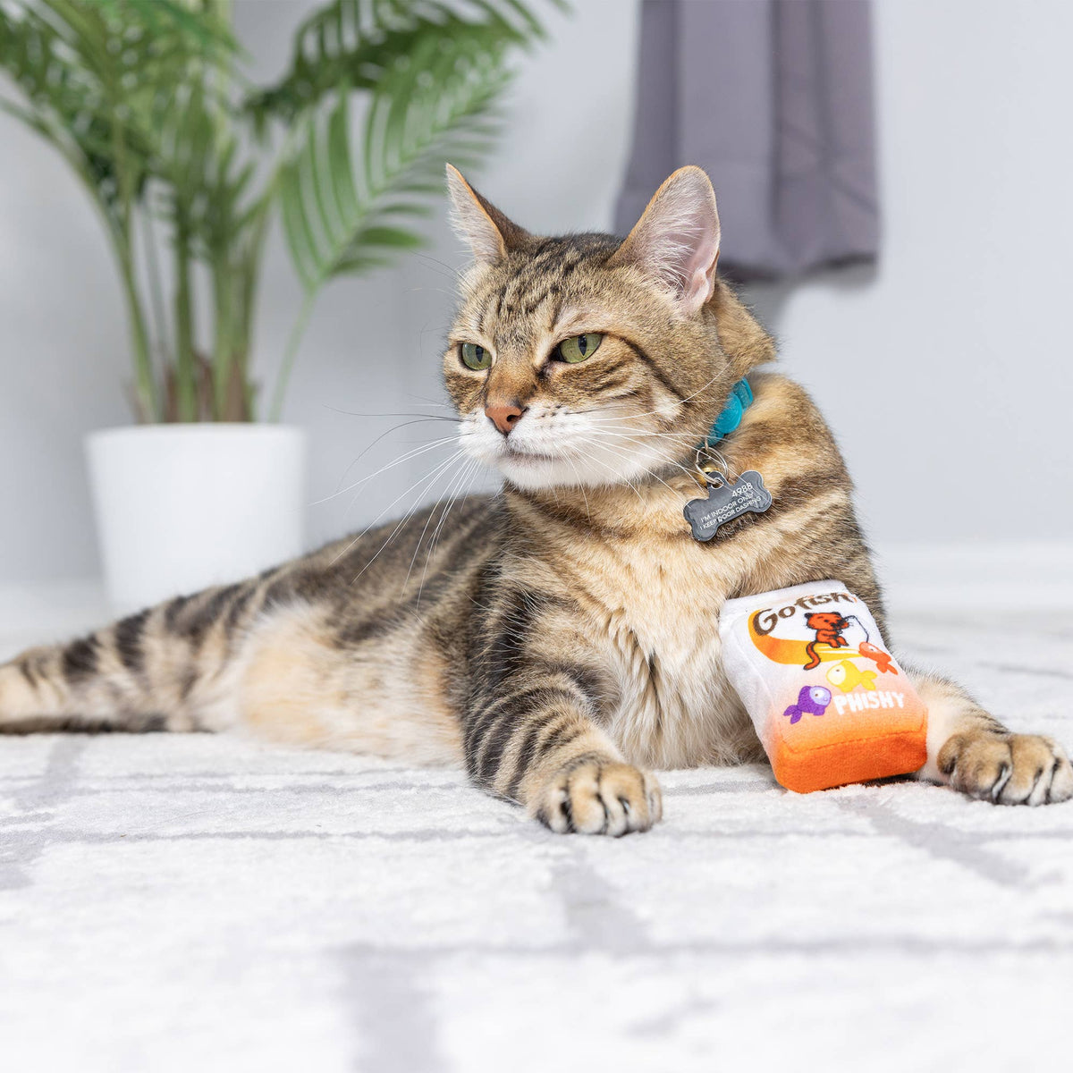 Go Fish Phishy Cat Toy: One Size