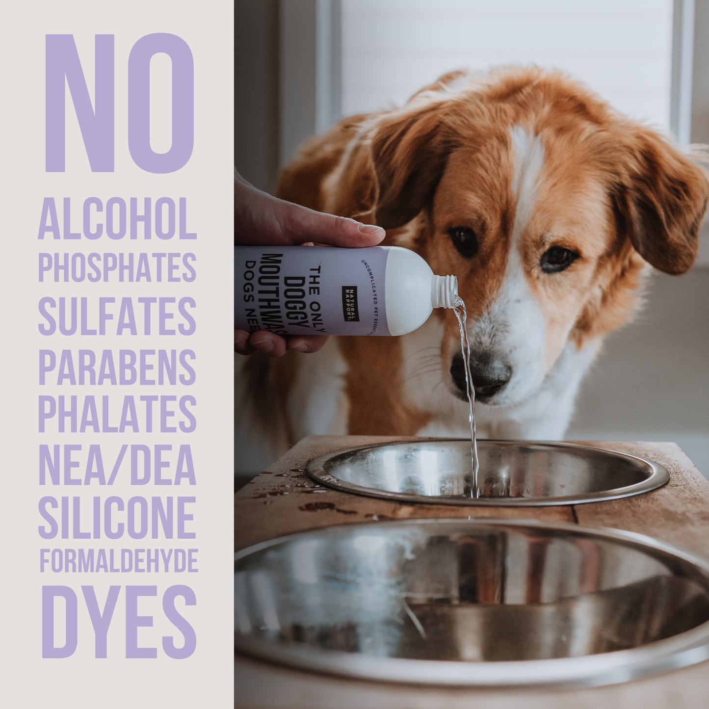 The Only Doggy Mouthwash Dogs Need: 3 ounce