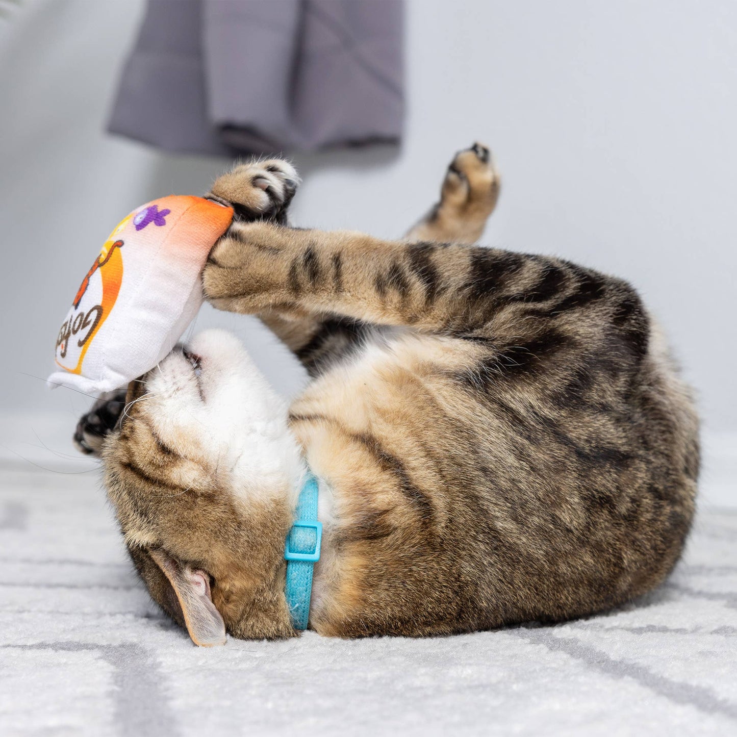 Go Fish Phishy Cat Toy: One Size