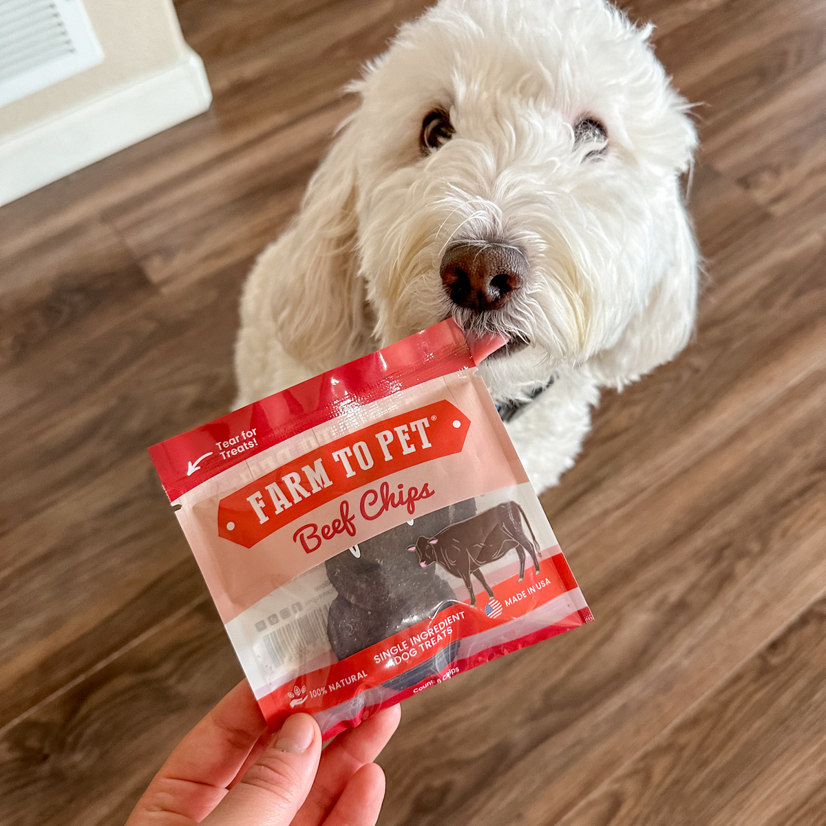 Beef Chips Healthy Dog Snack Pack
