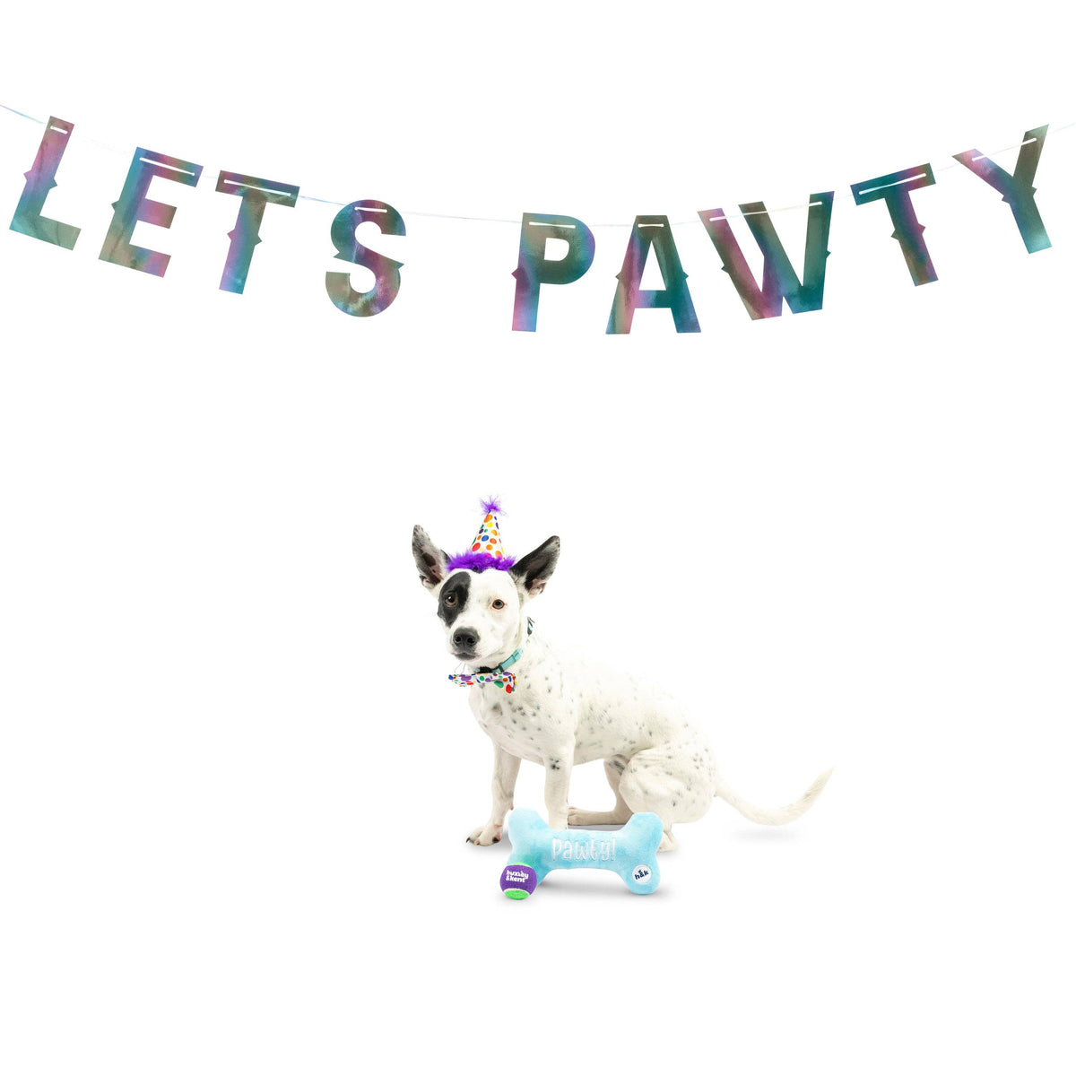 Let's Pawty Iridescent Celebration Banner: One Size