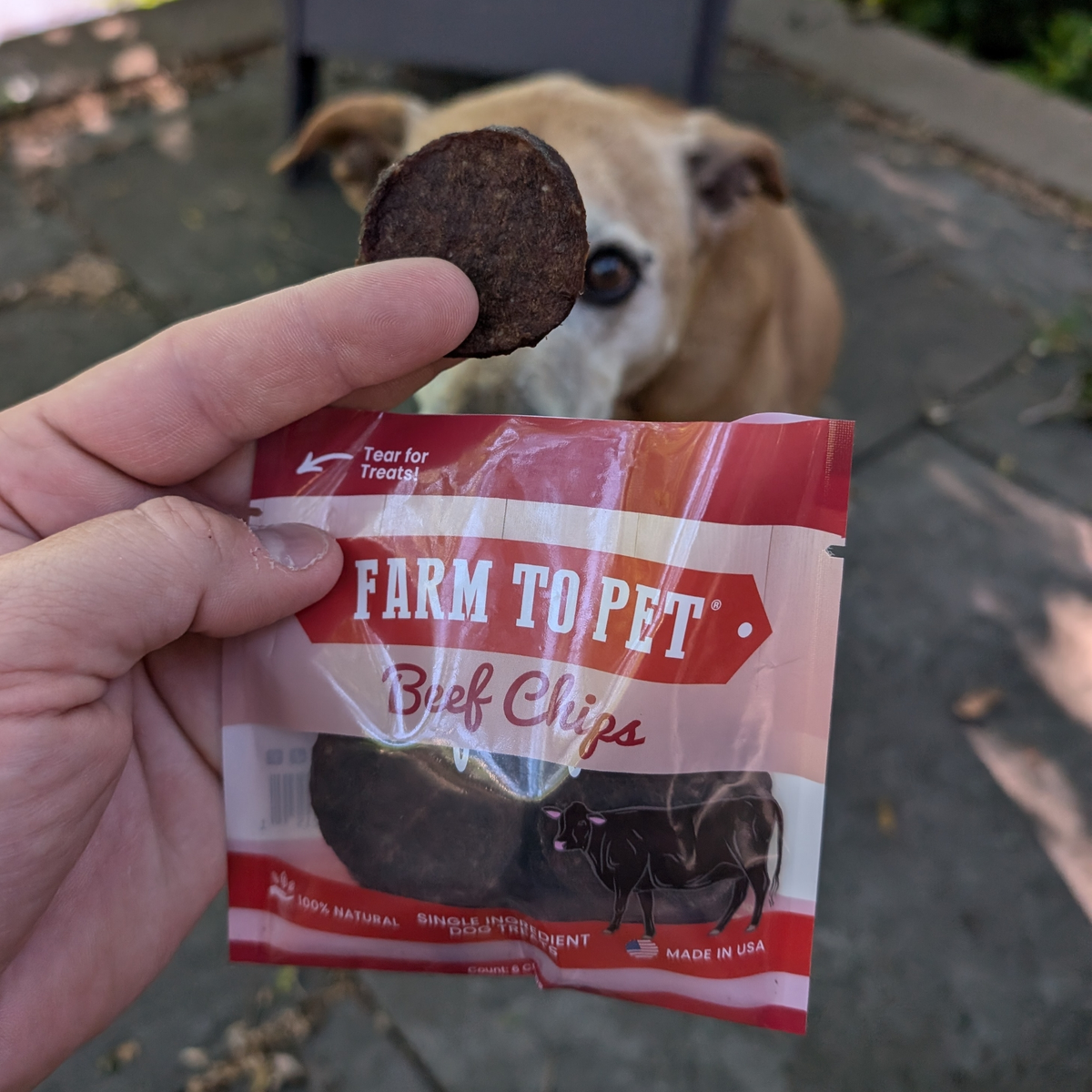 Beef Chips Healthy Dog Snack Pack