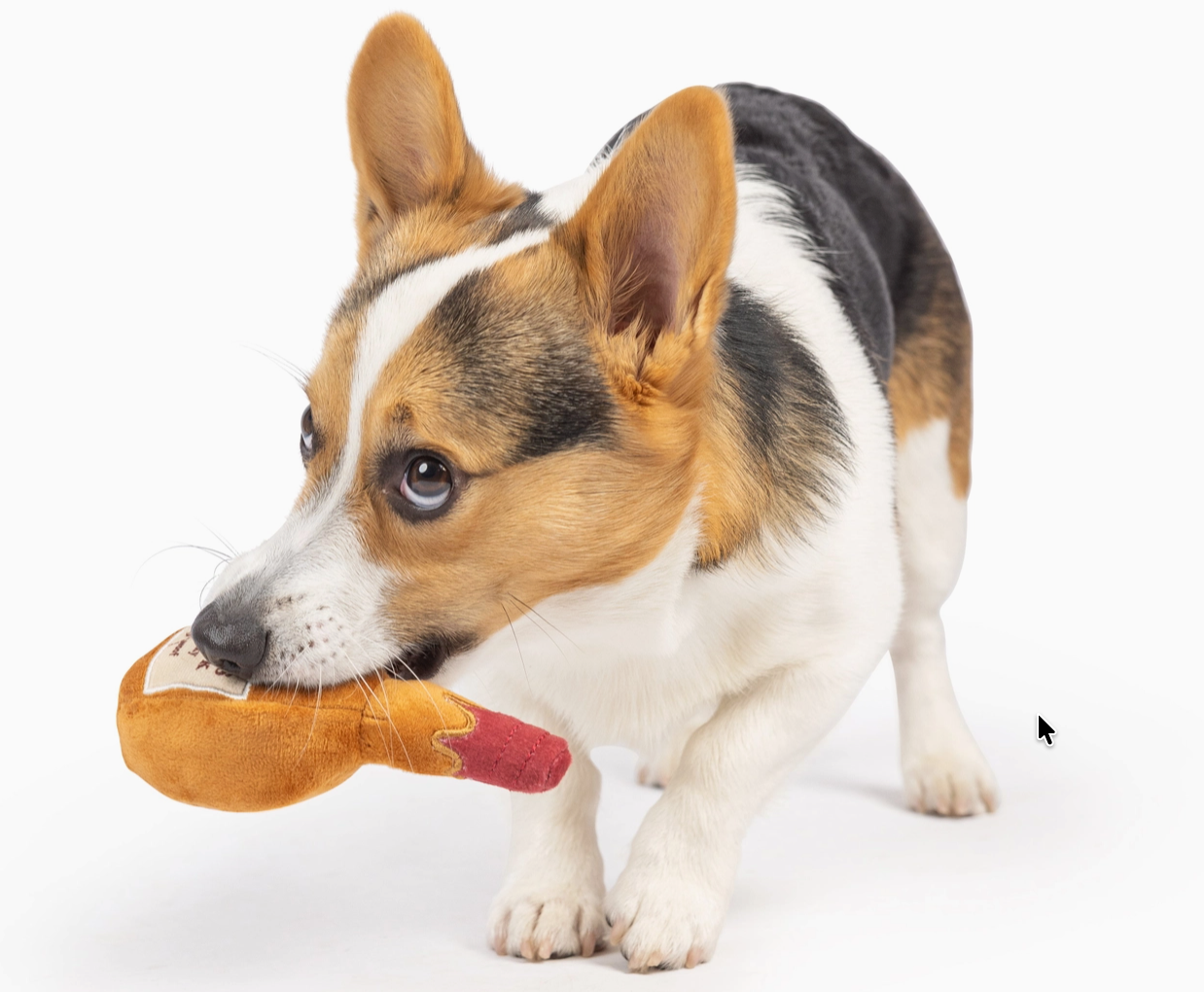 Tiny Tuff Yappy Hour Toys