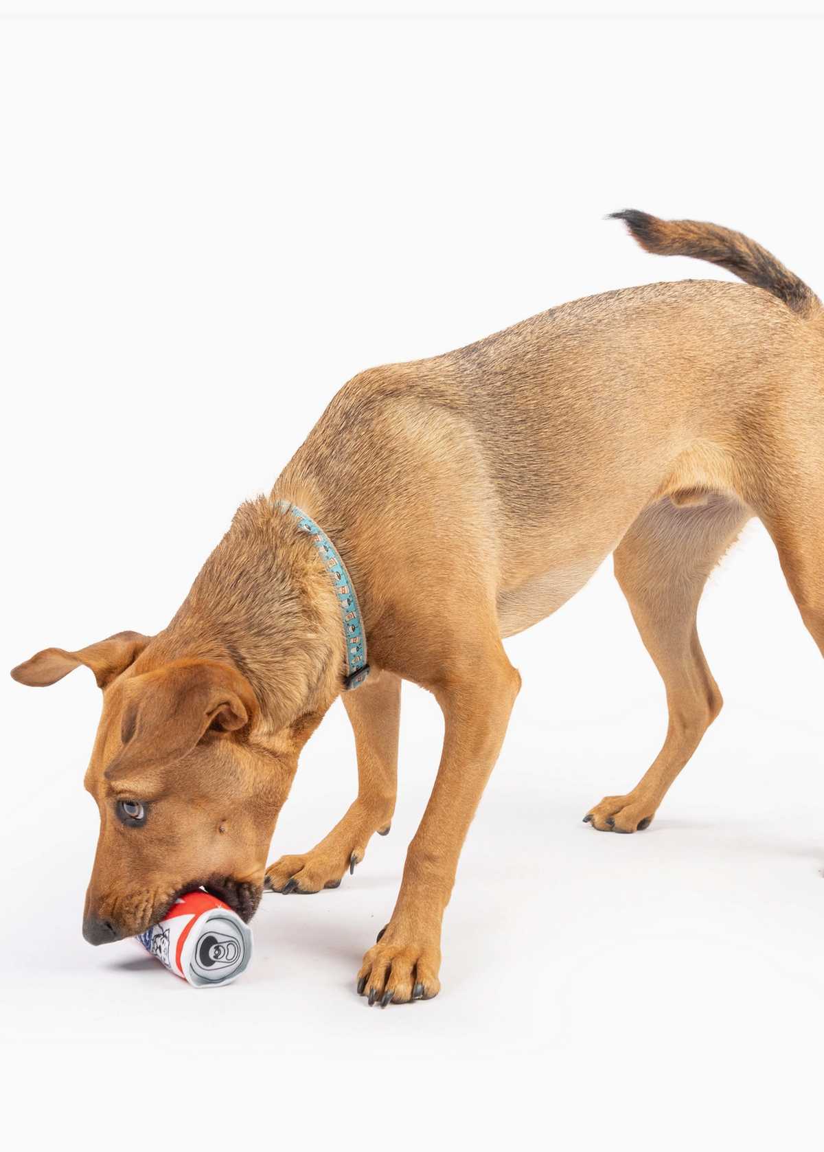 Tiny Tuff Yappy Hour Toys