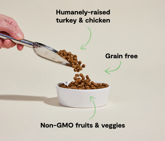 Homestead Turkey & Chicken Grain-Free Dog Kibble