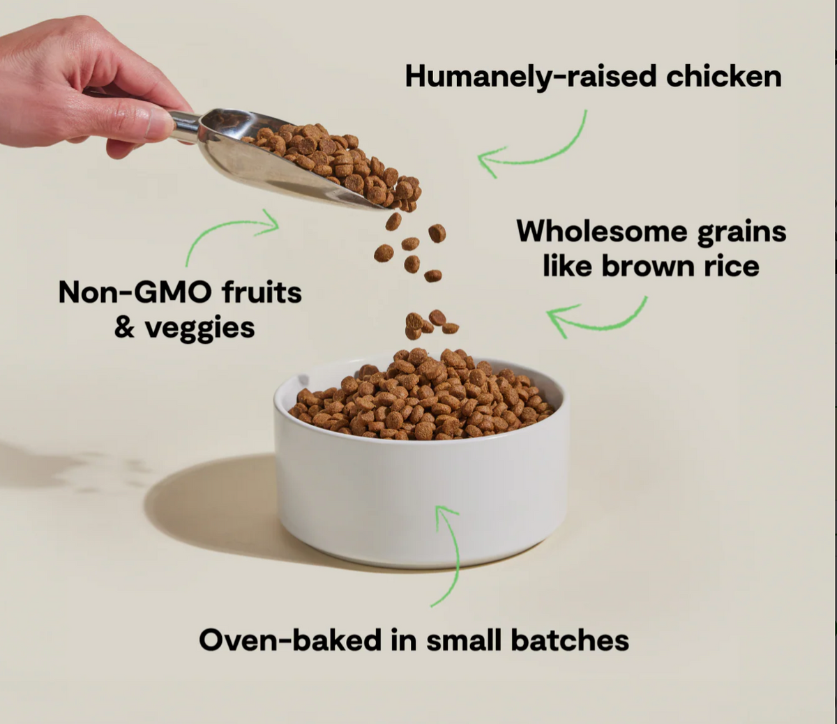 Goodbowl™ Harvest Chicken & Brown Rice Dog Kibble
