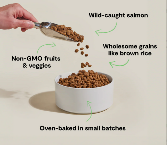Goodbowl™ Wild-Caught Salmon & Brown Rice Dog Kibble