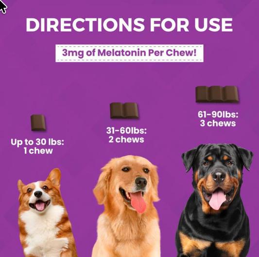 Nootie Calming Chew Bars