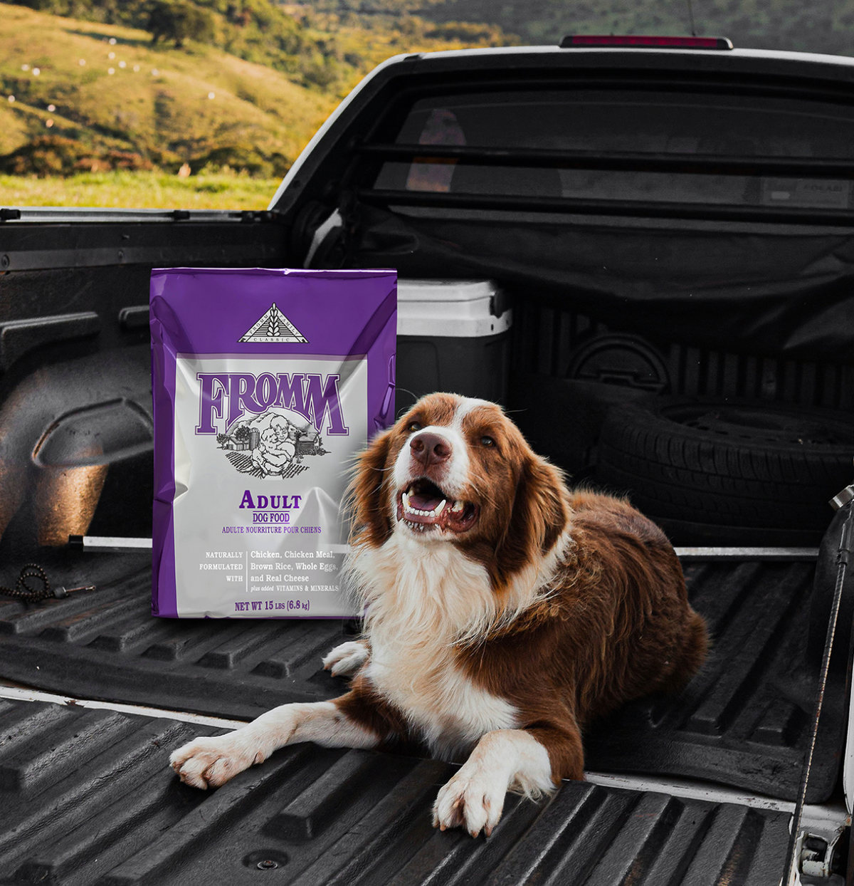 Fromm Classic Adult Dry Dog Food