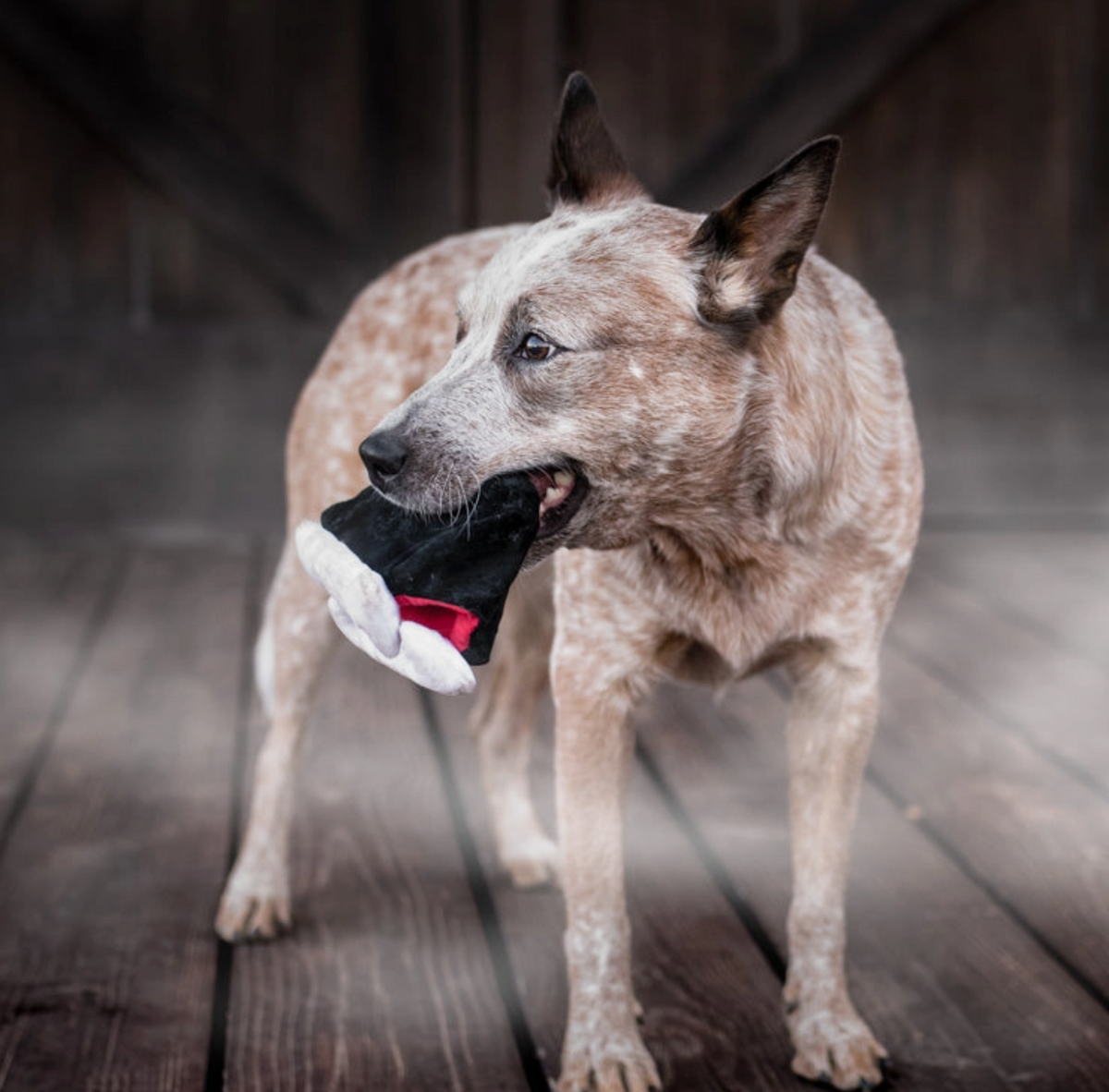 Howling Haunts - Barkys Bite