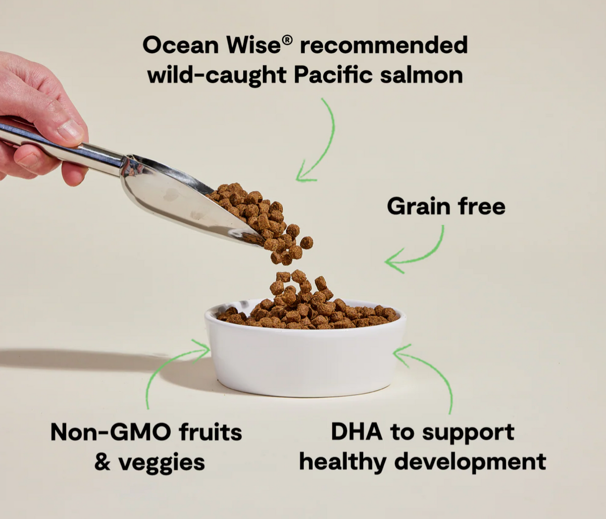 Open Farm Grain Free Dry Puppy Food - Salmon & Sweet Potato