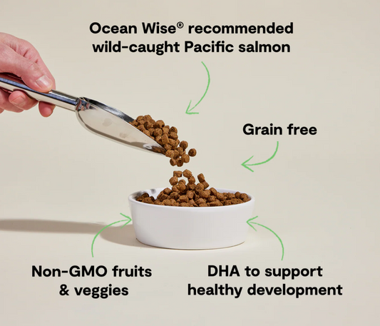 Open Farm Grain Free Dry Puppy Food - Salmon & Sweet Potato
