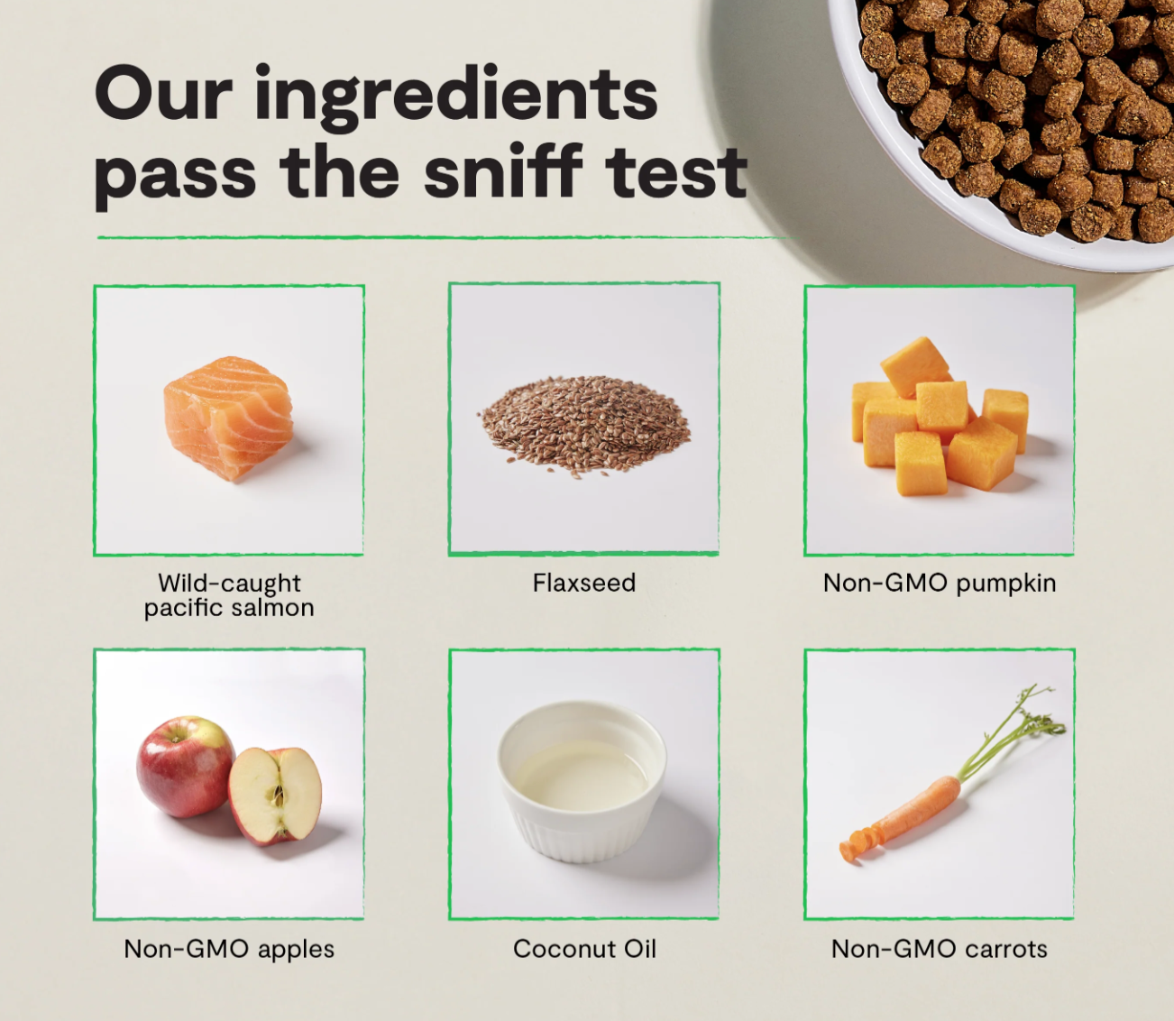 Wild-Caught Salmon Grain-Free Dog Kibble