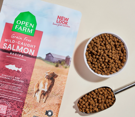 Wild-Caught Salmon Grain-Free Dog Kibble