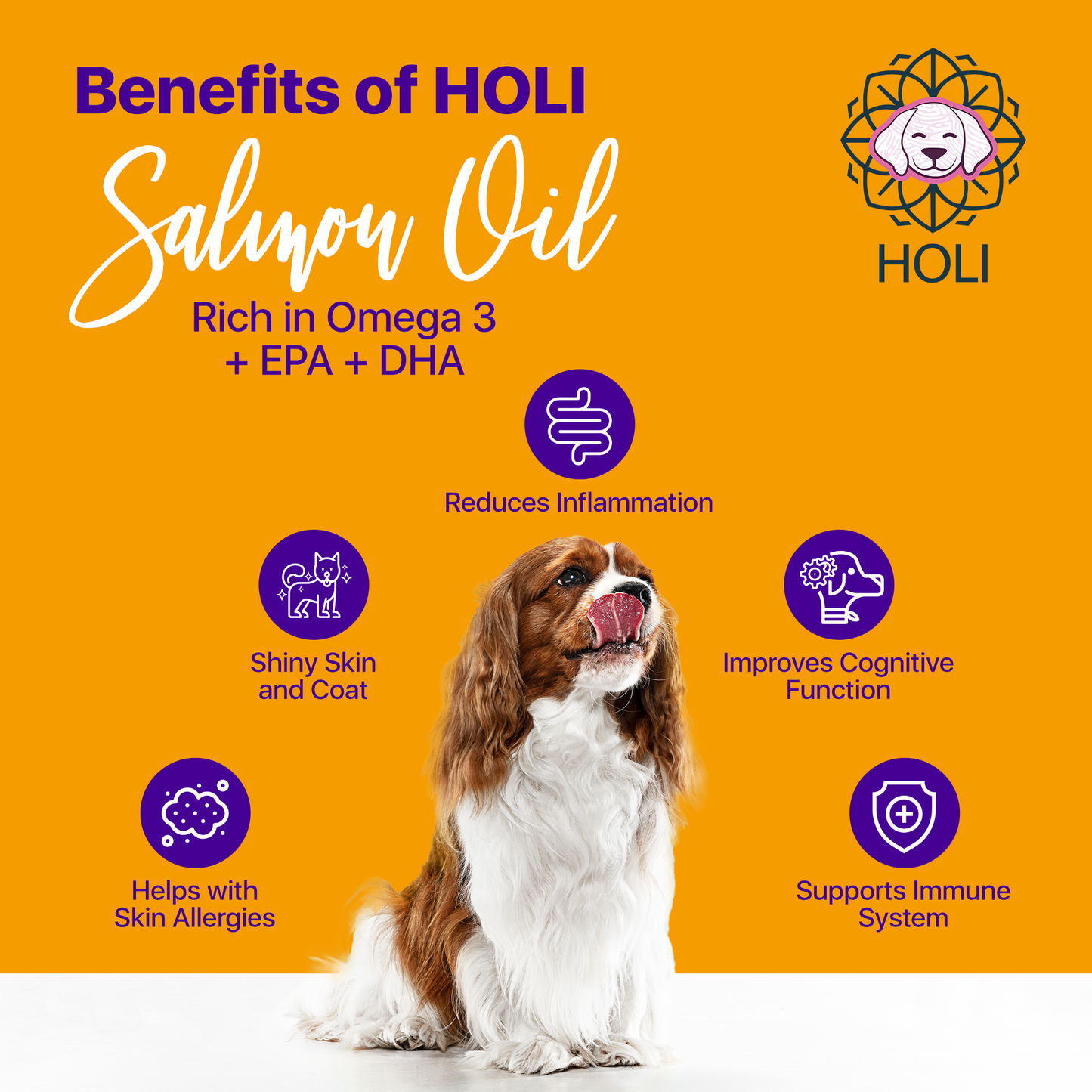 Icelandic Salmon Oil for Dogs and Cats - Omega Fish Oil