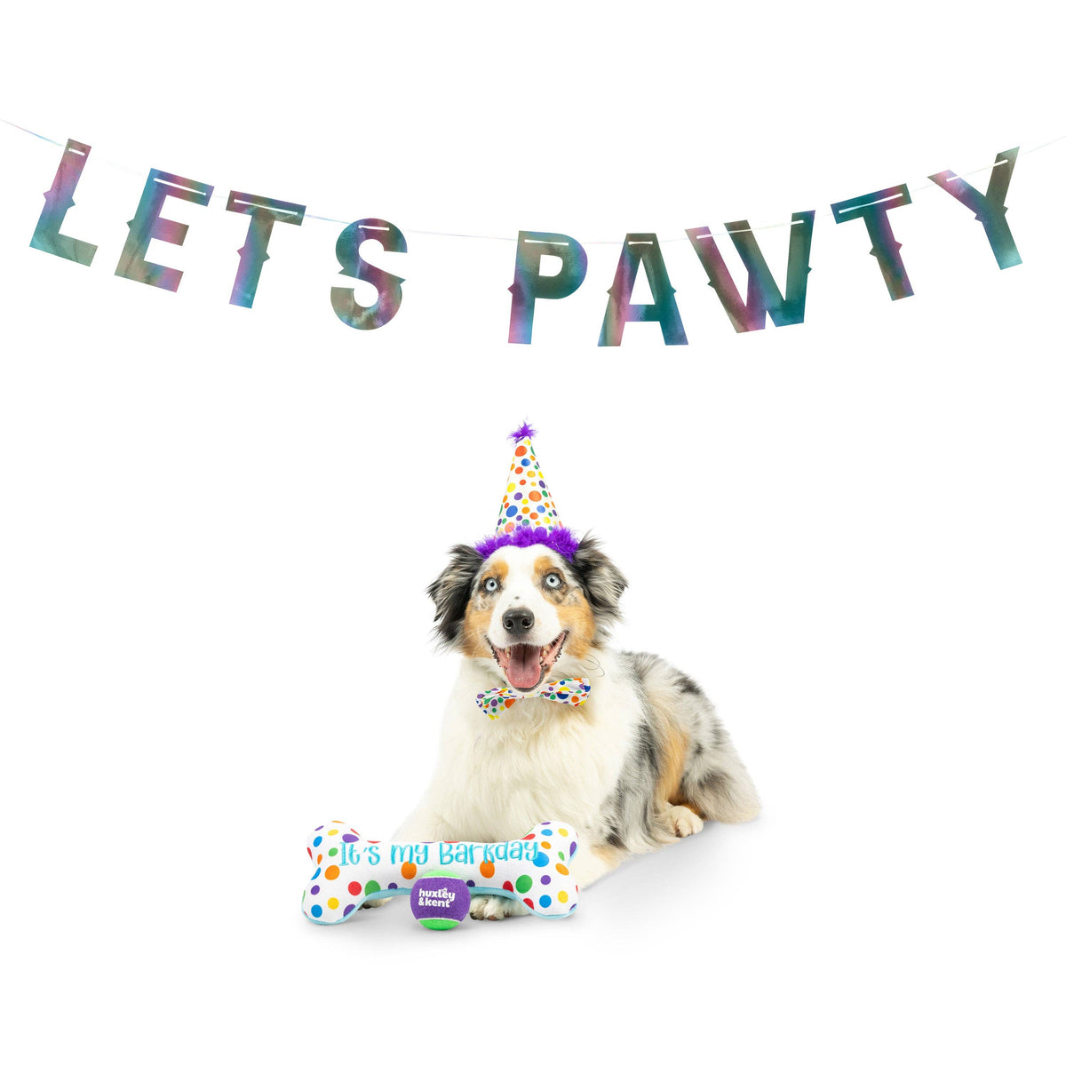 Let's Pawty Iridescent Celebration Banner: One Size