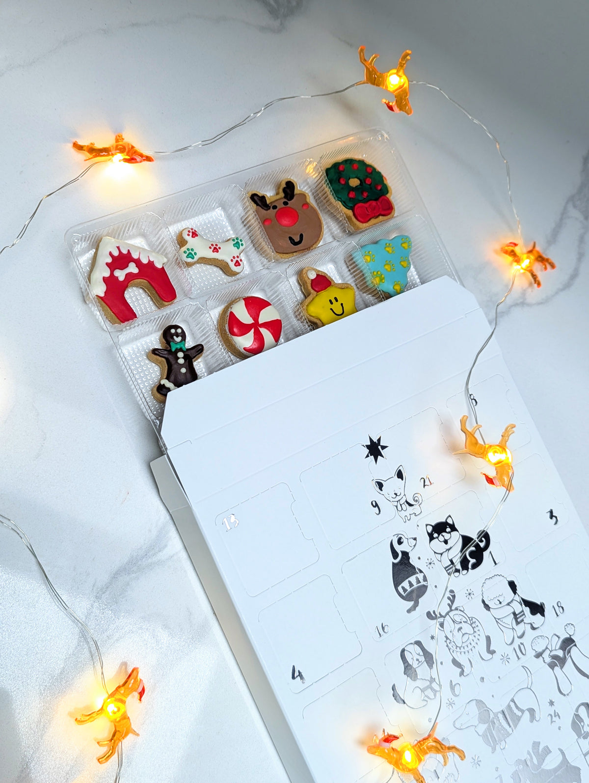 Pre-Order: 24-Day Dog Advent Calendar (Ships November)