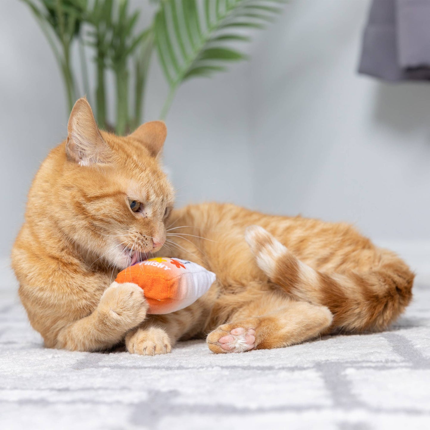 Go Fish Phishy Cat Toy: One Size