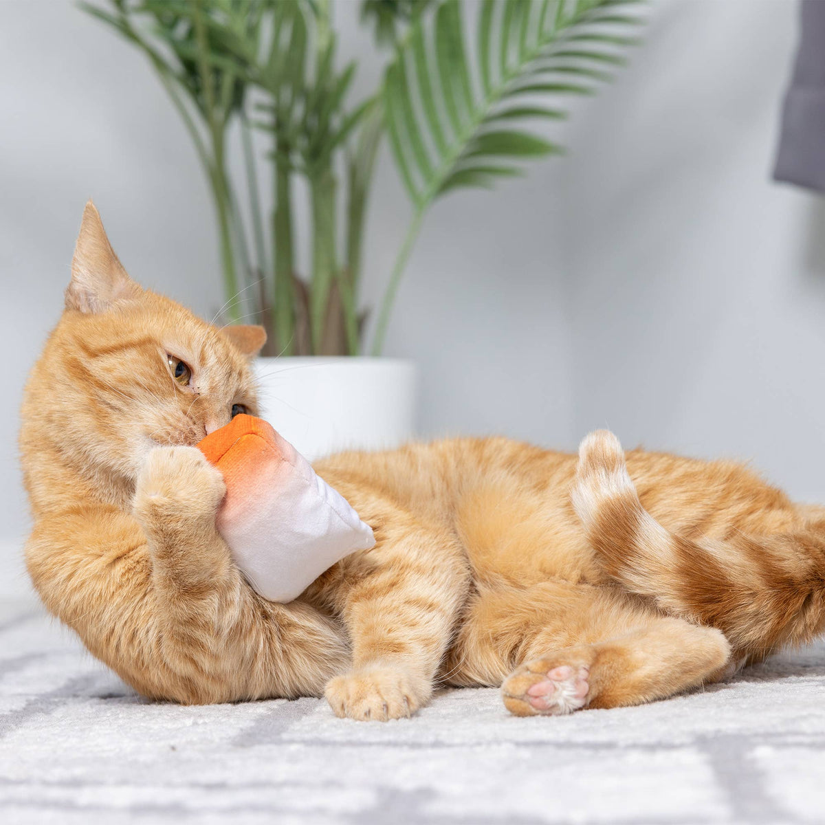 Go Fish Phishy Cat Toy: One Size