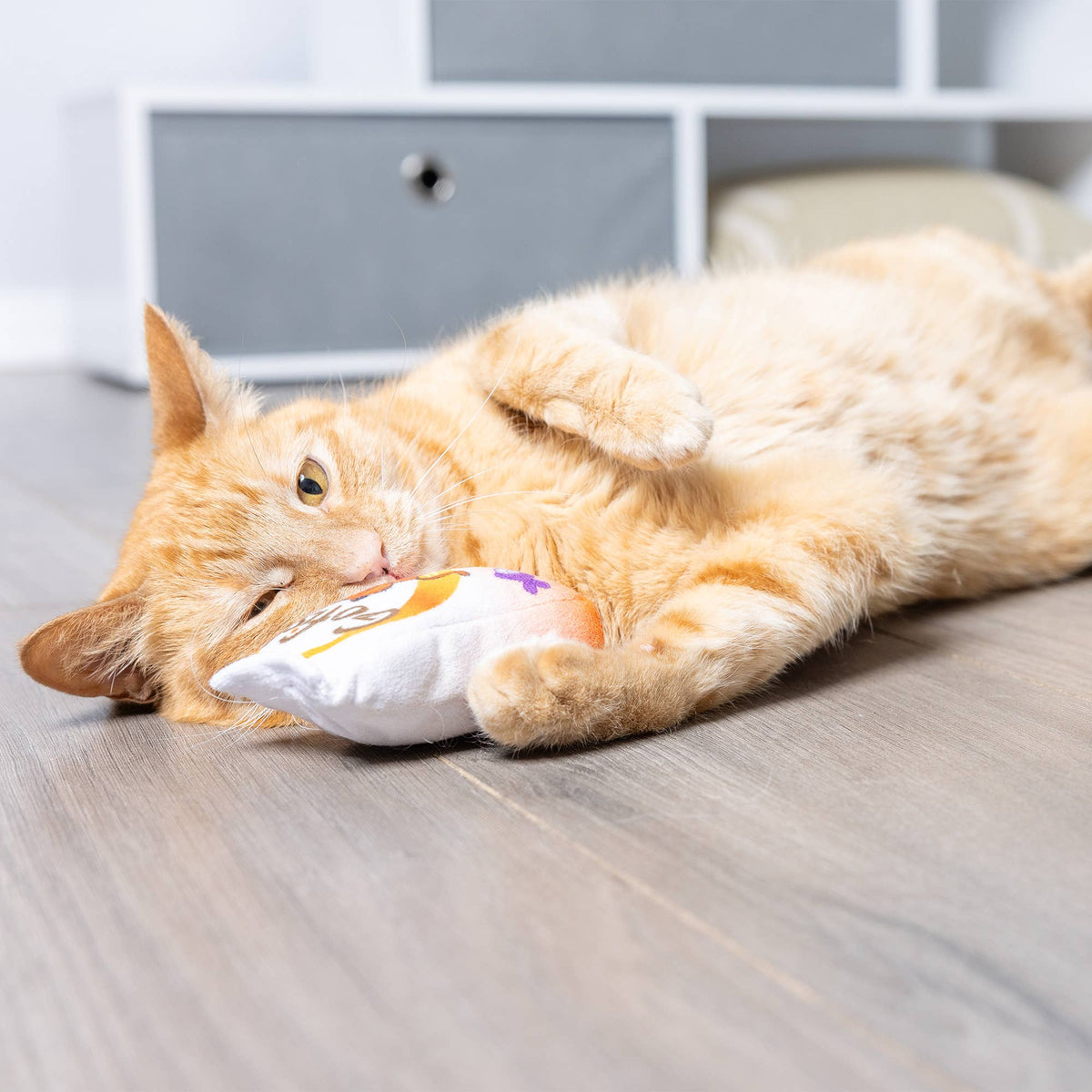Go Fish Phishy Cat Toy: One Size