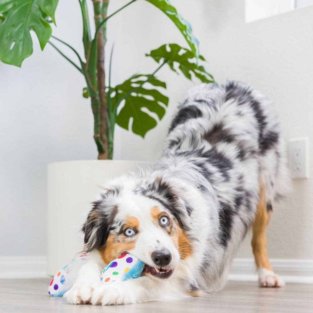 It's My Barkday Bone Dog Toy (Double Sided)