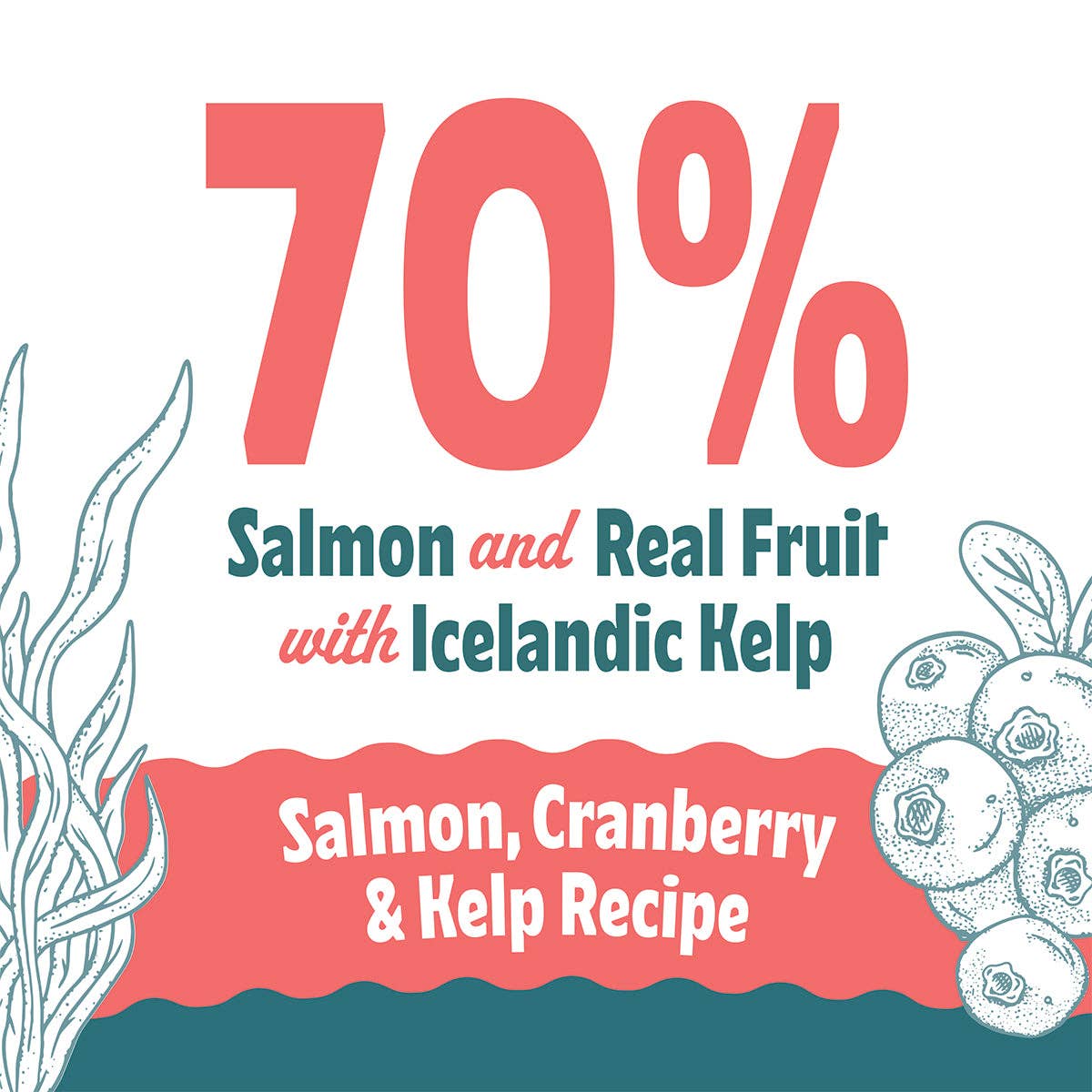Salmon, Cranberry & Kelp Recipe Soft & Chewy Bites for Cats