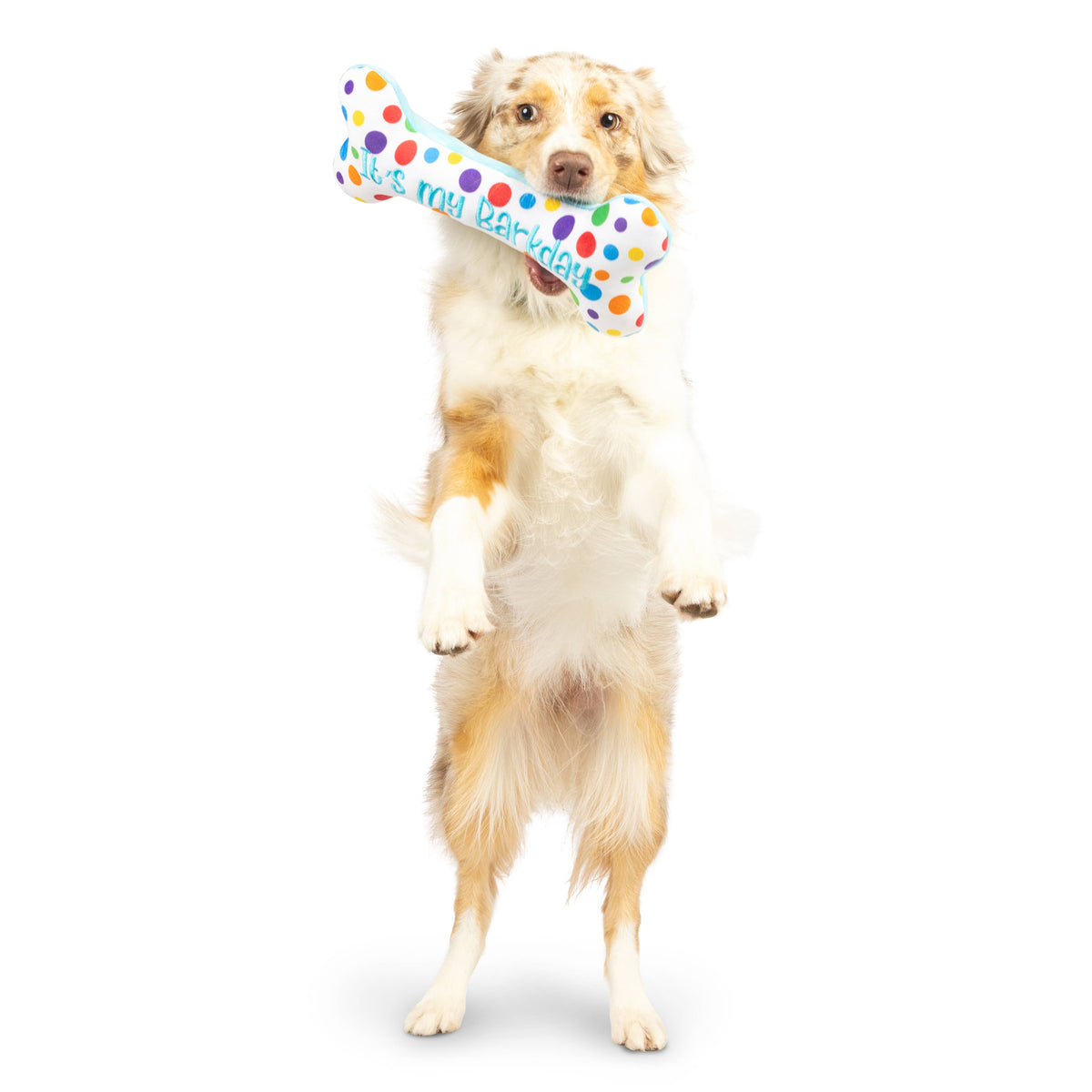 It's My Barkday Bone Dog Toy (Double Sided)