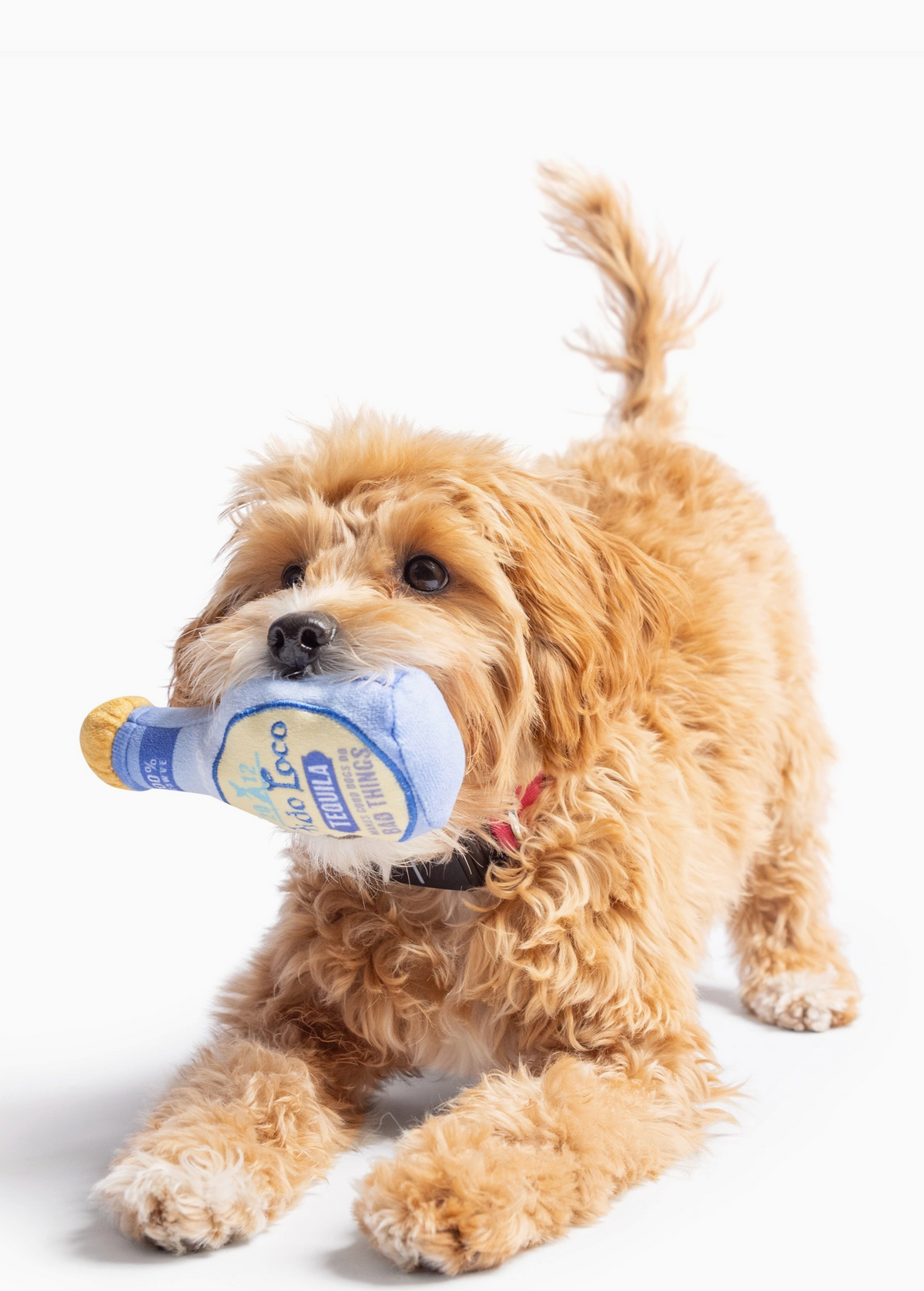 Tiny Tuff Yappy Hour Toys