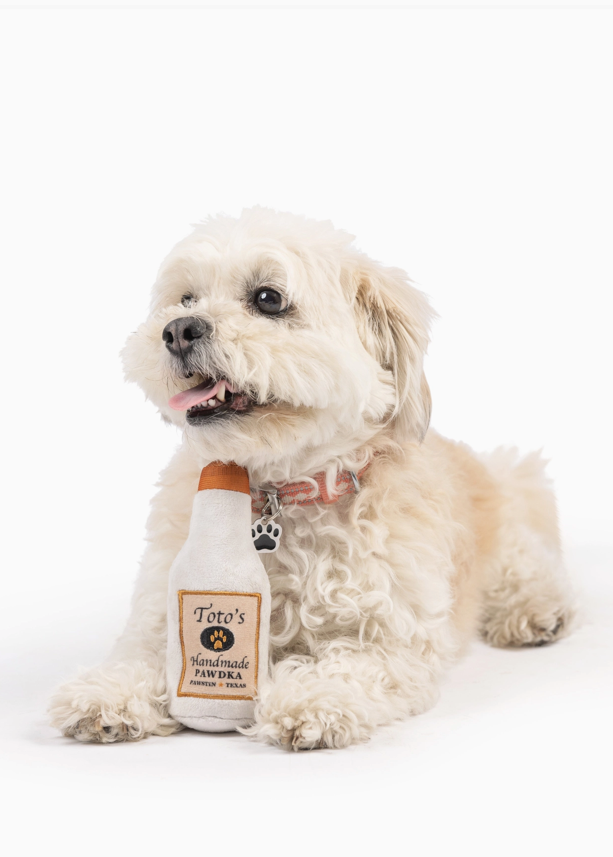 Tiny Tuff Yappy Hour Toys